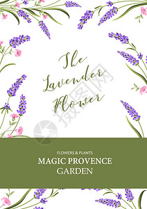 邀请垂直卡花卉垂直模板的设计与盛开的花朵的蓝色框架您的文本的文本图片
