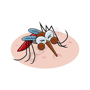 蚊子插画设计图片