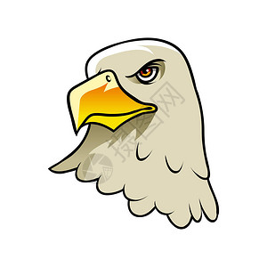 鹰头插画设计图片