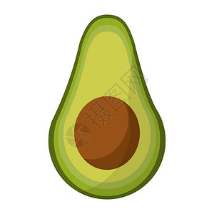 Avocado收获营养图标营养指标矢量说明图片