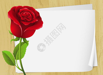 框架设计与红玫瑰插图图片
