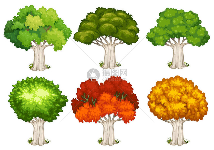 不同形状的树木插图图片