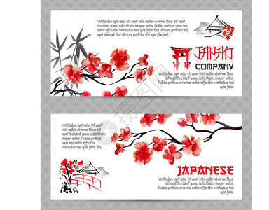 红日本萨库拉树枝的横向幅图片