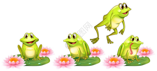 睡莲插图上的四只绿色青蛙图片