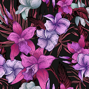 矢量粉红年植物热带无缝模式外来花朵树枝和叶子黑色背景的植物图片