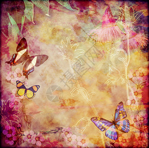 具有澳大利亚动植物群的鲜花蝴蝶背景多彩的古董画家纹理背景文本复制空间图片