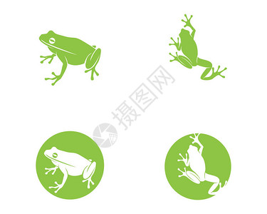 绿色青蛙符号标志和模板图片