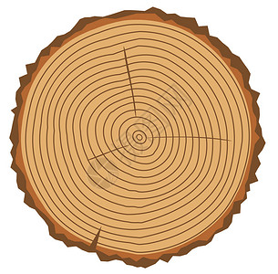 木环矢量说明树环摘要背景油图片