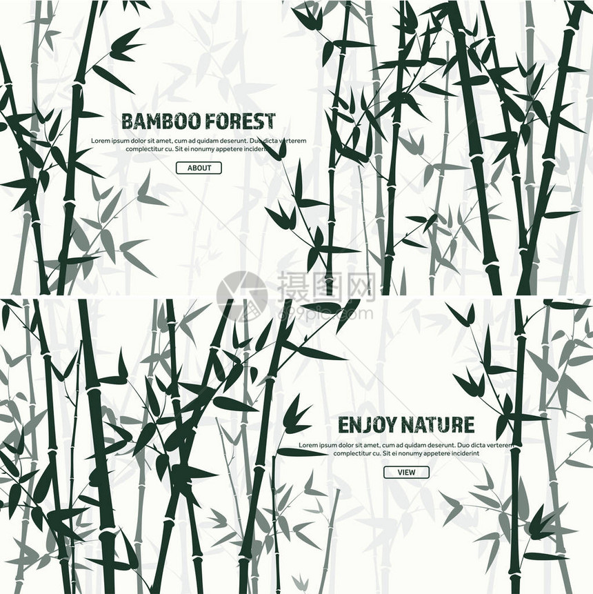 竹林自然日本植物绿树和叶图片