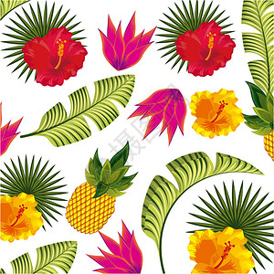 白色背景的热带花卉和叶子多彩设图片