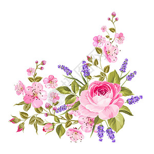 花朵盛着紫色玫瑰沙库拉和熏衣草带玫瑰和熏衣花的挂彩背景图片