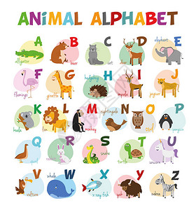 可爱的卡通动物园插图字母与有趣的动物英文字母学着阅读背景图片