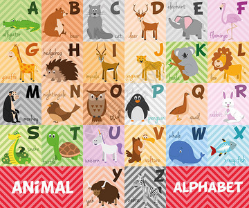 可爱的卡通动物园插图字母与有趣的动物英文字母学着阅读图片