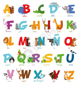 可爱的卡通动物园插图字母与有趣的动物西班牙字母表学着阅读背景图片