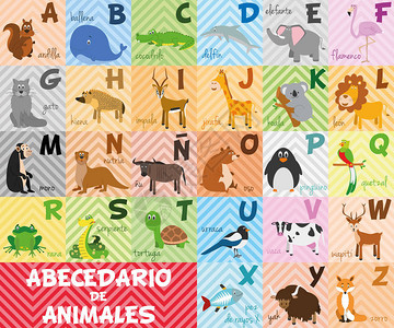 可爱的卡通动物园插图字母与有趣的动物西班牙字母表学着阅读图片
