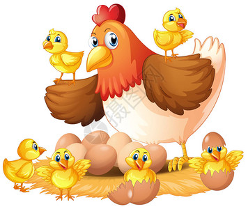 母鸡和小鸡在巢插图图片