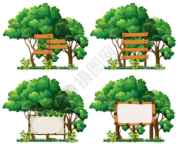 大树插图上的四个框架模板图片
