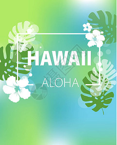 Aloha背景图片
