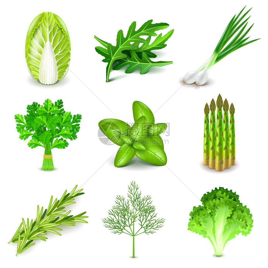 绿色蔬菜和香料图标详细摄影符合实图片