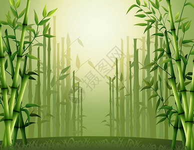 绿竹树在森林内背景的矢量插图背景图片