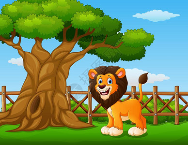 动物狮子站在围栏内一棵树图片