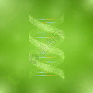 RNA绿色背景的医学RNA分图片