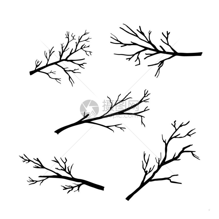 手绘白色背景上的树枝剪影矢量插图图片
