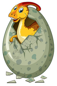 白色背景插图上的恐龙孵化蛋图片