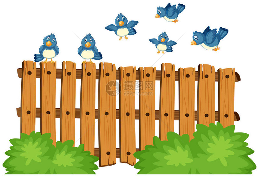 蓝鸟飞过木栅栏插图图片