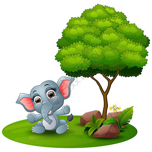 卡通婴儿大象坐在一棵树下白背景的白色树图片