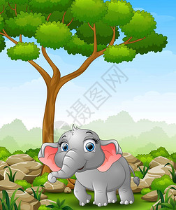 卡通大象在丛林中行走的矢量图解图片