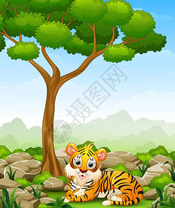 卡通老虎躺在丛林中的矢量图解图片