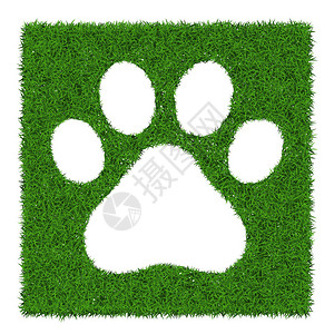 动物绿草足迹矢量图图片