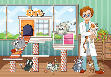 动物医院插图中的兽医和猫图片