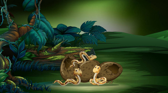 场景与三条蛇孵化蛋插图背景图片