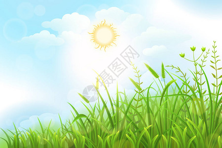 绿草矢量背景与太阳和天空图片