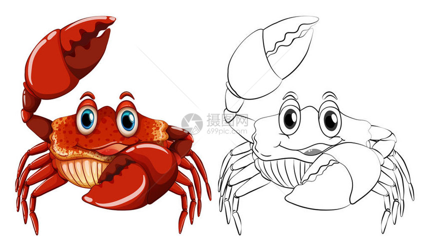 螃蟹插图的动物大纲图片