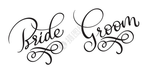 BrideGroomHand在白色背景上绘制了老式矢量文字书法字母插图片