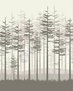 矢量图树景观背景与森林图片