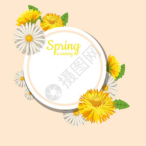 新鲜的春天背景与草蒲公英和雏菊矢量背景图片
