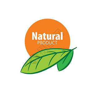 标识自然产品模板设计矢量图示图片