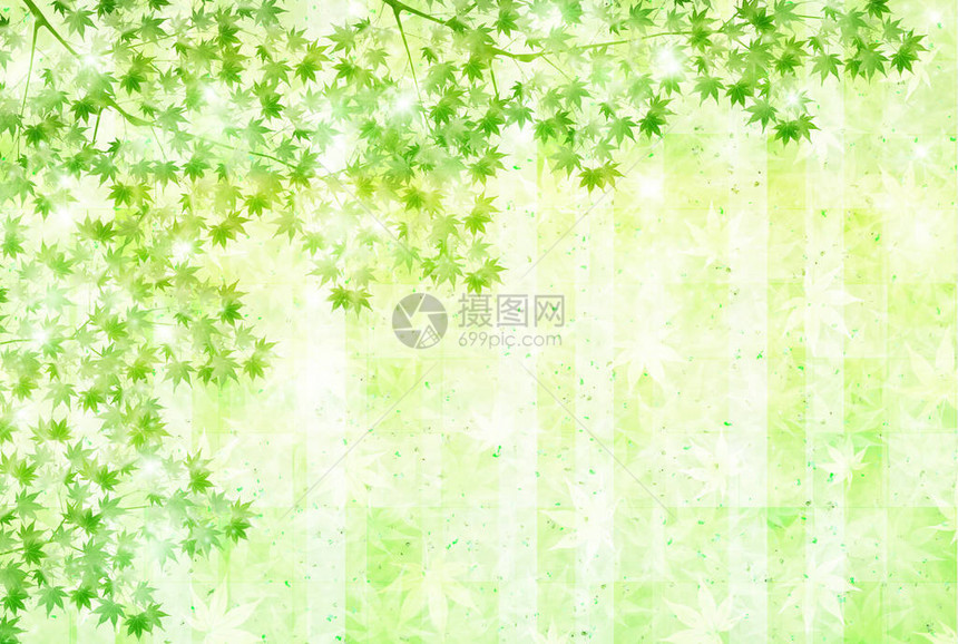 枫叶鲜绿叶背景图片