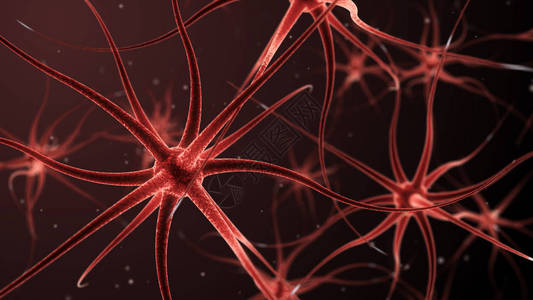 躯体3d关于形成神经网络的设计图片