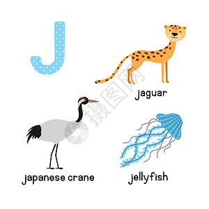 鹤算同添字体可爱的动物园字母表捷豹水母日本鹤的字母J有插画