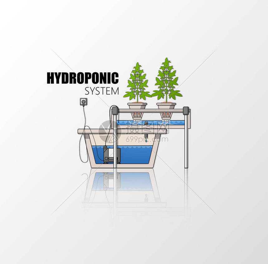 水栽培系统和两座正在生长的植图片