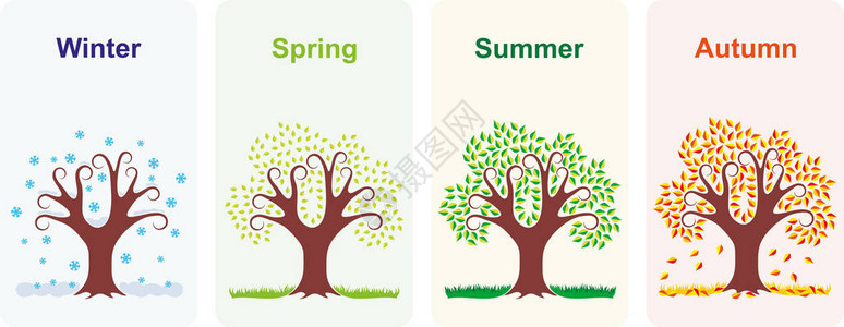四季冬春季夏季和秋季的一棵图片