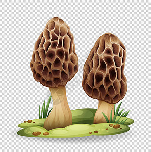 新鲜野竹笋透明背景插图上的野蘑菇插画