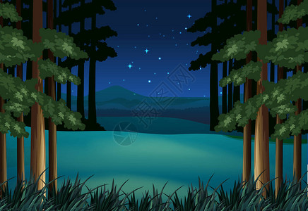 夜间森林场景与星插图背景图片