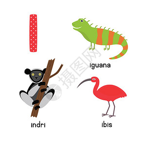 可爱的动物园字母表图片