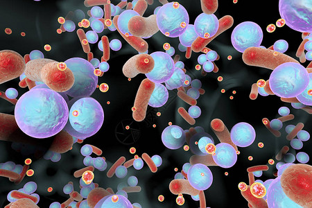 小的红色球体是用于生物膜内细菌通讯的群体感应分子图片
